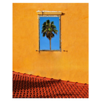 Fotografie Urban texture - Tel Aviv Jaffa, Arnon Orbach, 30 × 40 cm