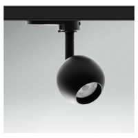 CENTURY Svítidlo pro 3fázovou lištu REGIA SHOP MINI SPHERE černá LED 10W 4000K CRI90 UGR16