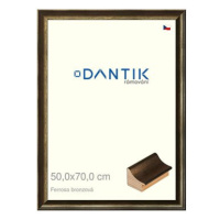 DANTIK rámeček 50 × 70, Ferrosa bronzový plexi čiré