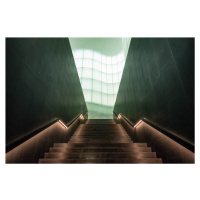 Umělecká fotografie Atrium stairs, Linda Wride, (40 x 26.7 cm)