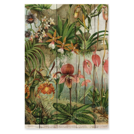 Nástěnná dekorace z borovicového dřeva Madre Selva Jungle Flowers, 60 x 40 cm