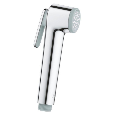 GROHE 26506000 - Ruční sprcha TEMPESTA-F 36 mm lesklý chrom 26506000