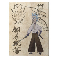 Obraz na plátně Rick and Morty - Samurai Showdown, - 60x80 cm