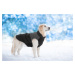 Vsepropejska Terenc obleček pro psa na zip Barva: Modrá, Délka zad (cm): 40, Obvod hrudníku: 53 