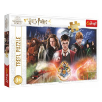 Trefl Puzzle Tajemství Harry Potter 300dílků 60x40cm v krabici 40x27x4cm