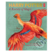 Harry Potter (A History of Magic) - kniha z kategorie Sci-fi, fantasy a komiksy