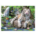 PRIME 3D PUZZLE - Bílí tygři 63 dílků
