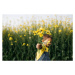 Ilustrace Little boy's hand holding picked yellow, Westend61, 40 × 26.7 cm