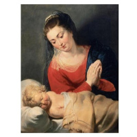 Peter Paul Rubens - Marie s Jezulátkem