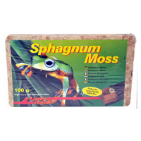 Lucky Reptile Sphagnum Moos 100 g