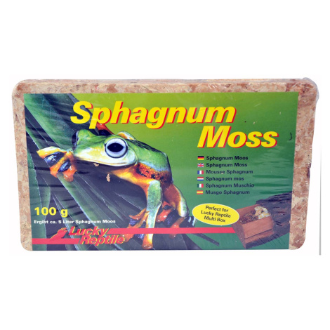 Lucky Reptile Sphagnum Moos 100 g