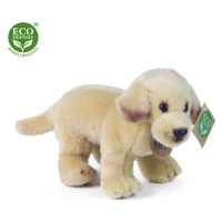 Plyšový labrador stojící 20 cm ECO-FRIENDLY