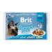 Brit Premium Cat D Fillets In Gravy Dinner Plate 340g