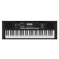 Roland E-X10