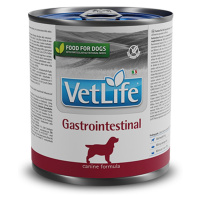 Farmina Vet Life Dog Gastrointestinal 6 × 300 g