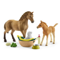 Schleich 42432 Set hříbě a Quarter kůň se štěňátkem a doplňky