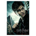 Umělecký tisk Harry Potter and the Deathly Hallows, 26.7 × 40 cm