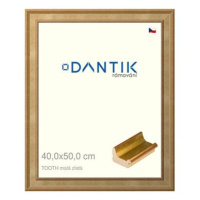 DANTIK rámeček 40 × 50, TOOTH malý zlatý plexi čiré