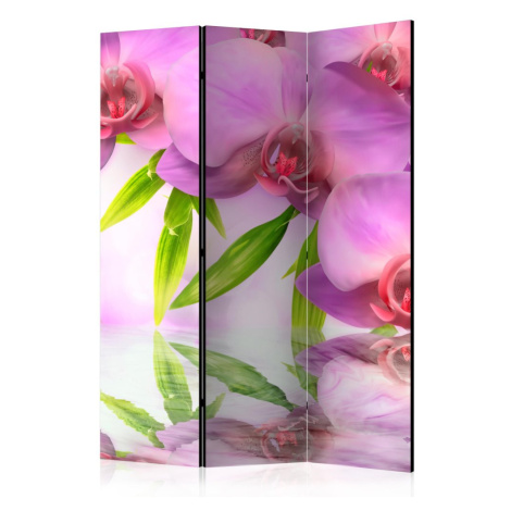 Paraván Orchid Spa Dekorhome 225x172 cm (5-dílný)