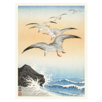 Obrazová reprodukce Flock of Seagulls (Japandi Vintage) - Ohara Koson, 30x40 cm