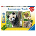 Ravensburger puzzle 056668 Panda, tygr a lev 3 x 49 dílků