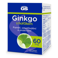 GS Ginkgo 60 mg s hořčíkem, 90 tablet