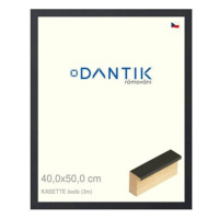 DANTIK rámeček 40 × 50, KASSETTE šedý 2758 plexi čiré