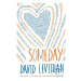 Someday - David Levithan - kniha z kategorie Beletrie pro děti