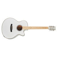 Tanglewood TW4 CE BLW