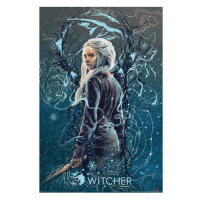 Plakát The Witcher - Ciri the Swallow (265)