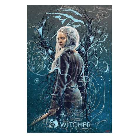 Plakát The Witcher - Ciri the Swallow (265) Europosters