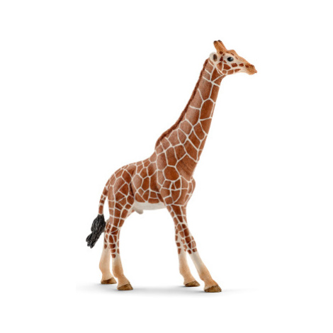 Zvířátko - žirafa samec Schleich