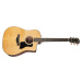 Taylor 210ce Plus 2024