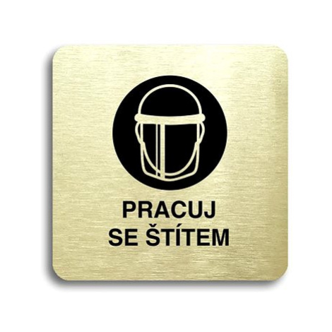 Accept Piktogram "pracuj se štítem IV" (80 × 80 mm) (zlatá tabulka - černý tisk bez rámečku)