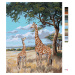 Malování podle čísel - ŽIRAFA V BUŠI (DARRELL BUSH) Rozměr: 40x50 cm, Rámování: bez rámu a bez v