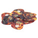 Star Picks Tortoise Shell Mixed Pack