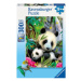 Panda 300d (13065)