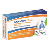 AMBROBENE 75MG CPS PRO 10