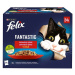 Felix Fantastic s kuřetem, hovězím, králíkem, jehněčím v želé 24 x 85 g