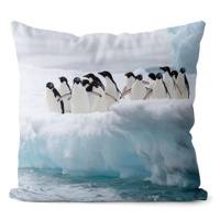 Impar polštář Skupina tučňáků