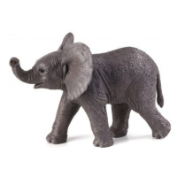 Animal Planet Slon afický slůně