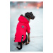 Vsepropejska Ronys zimní bunda pro psa Barva: Zelená, Délka zad (cm): 41, Obvod hrudníku: 52 - 5