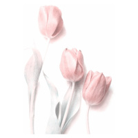 Ilustrace Sweet Pink, Delphine Devos, (26.7 x 40 cm)