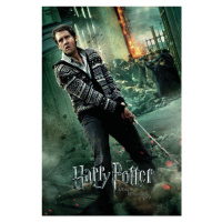 Umělecký tisk Harry Potter - Neville Longbottom, 26.7 × 40 cm