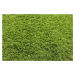 Artificial grass specialists AKCE: 100x200 cm Umělá tráva Princess metrážní - Rozměr na míru cm