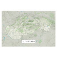 Mapa Slovensko color, (40 x 26.7 cm)