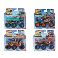 Mattel Hot Wheels MONSTER TRUCKS NÁKLAĎÁČKY 1:64, více druhů