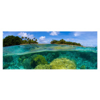 MP-2-0200 Vliesová obrazová panoramatická fototapeta Coral Reef + lepidlo Zdarma, velikost 375 x