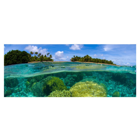 MP-2-0200 Vliesová obrazová panoramatická fototapeta Coral Reef + lepidlo Zdarma, velikost 375 x Dimex - ČR