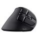 Trust Voxx Rechargeable Ergonomic Wireless Mouse 23731 Černá